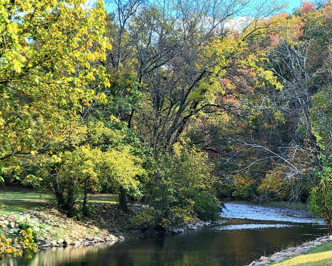 Skinny Dippin'-River Front- Free Tickets-Dog Friendly-Sleeps 6 Pigeon Forge Esterno foto