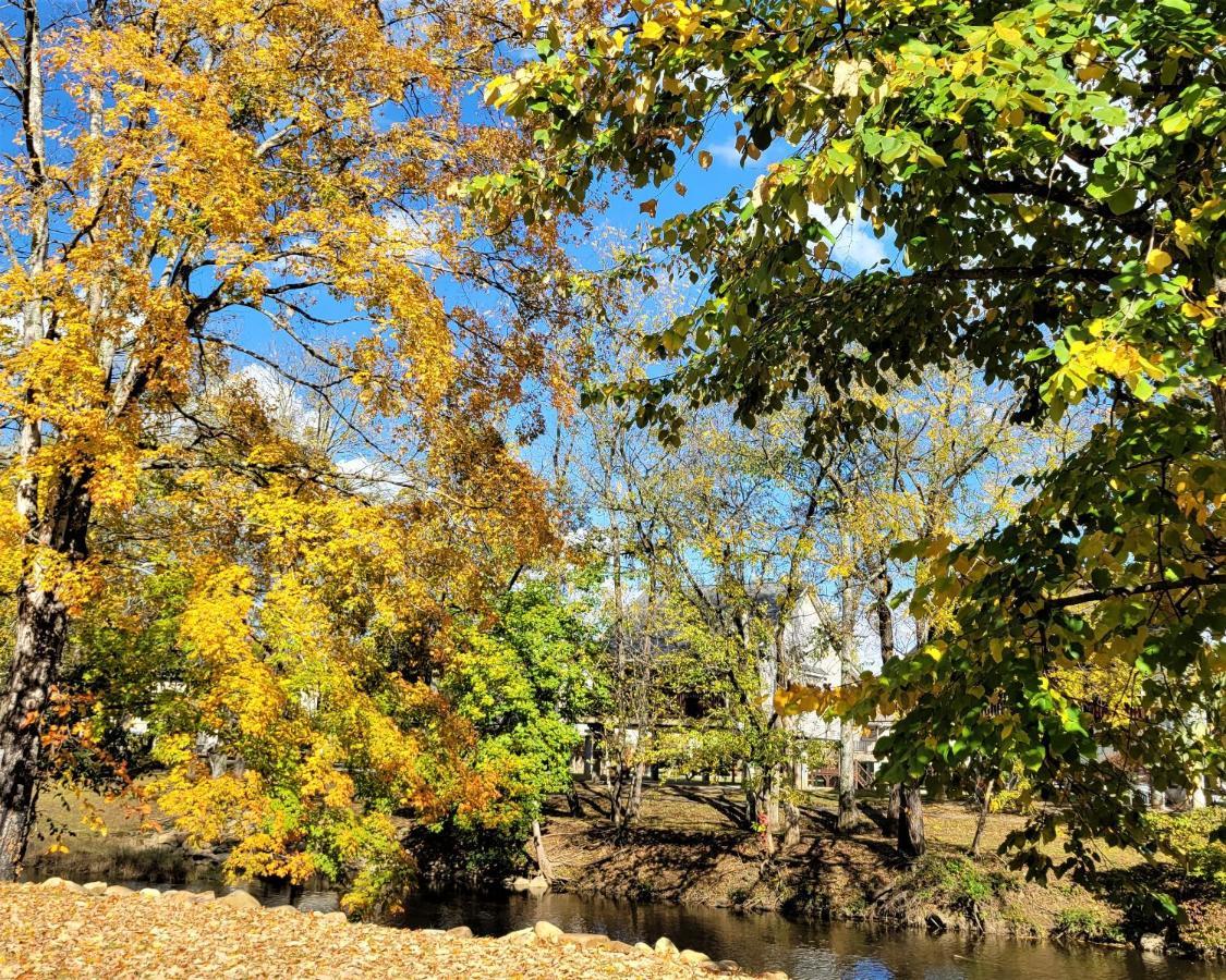 Skinny Dippin'-River Front- Free Tickets-Dog Friendly-Sleeps 6 Pigeon Forge Esterno foto